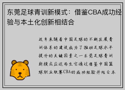 东莞足球青训新模式：借鉴CBA成功经验与本土化创新相结合